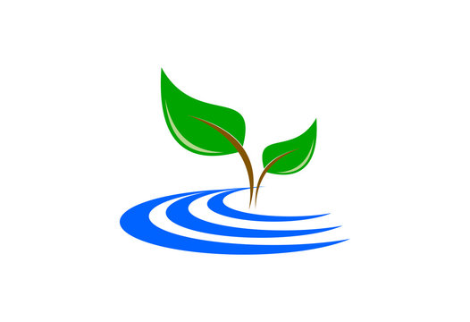 plant with water logo 