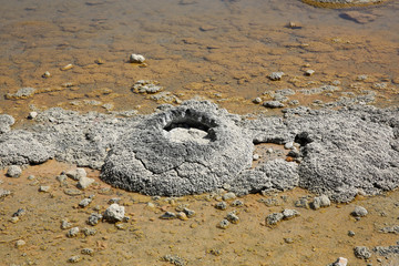 Stromatolithen bei Cervantes. Westaustralien 