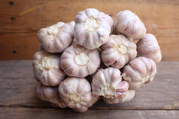 Garlic