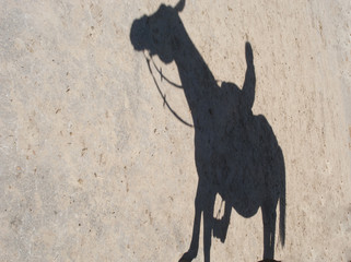 Der Schatten eines Reiters im Sand