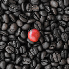 red ripe coffee on coffee beans backgournd take with selective color technique and art lighting