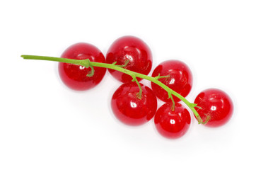 red currants on a white background