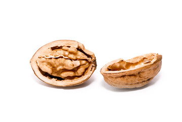 walnut isolated on a white background