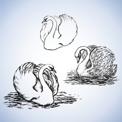 DNA chain in develop, functioning and reproduction of living organisms and many viruses. Vector freehand ink drawn backdrop sketch in art doodle style pen on paper. View close-up with space for text