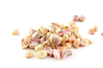 garlic on white background