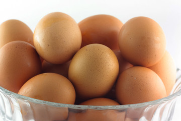 egg on white background