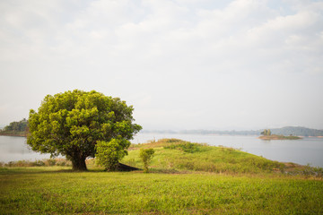 beautiful view of the tree at the reservoir, Pompi National Park