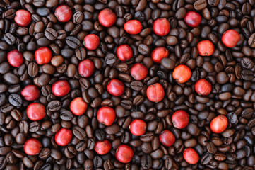 red ripe coffee on coffee beans backgournd