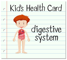 Health card with digestive system