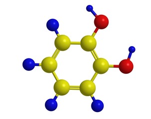 Molecular structure of Catechol (pyrocatechol, vitamin J)