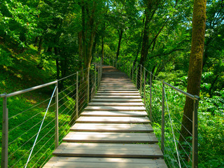 Fototapeta na wymiar Wooden bridge for pedestrians in the forest