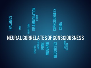 Neural correlates of consciousness 