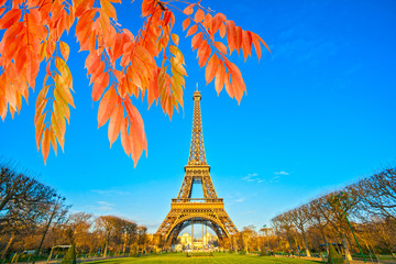 Fototapeta na wymiar Eiffel tower at sunrise, Paris.