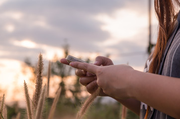 Woman Using a Smartphone on grass flowers background