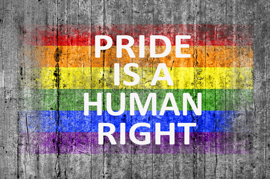 Pride is a human right and LGBT flag painted on background textu