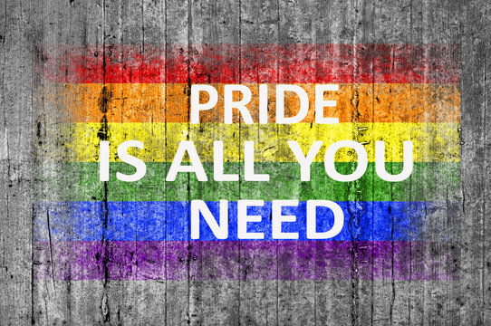 Pride is all you need and LGBT flag painted on background textur