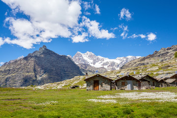 Fototapeta na wymiar Valmalenco (IT) - Alpe Prabello con Bernina sullo sfondo