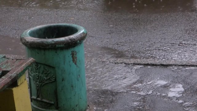 The litter bin in the rain