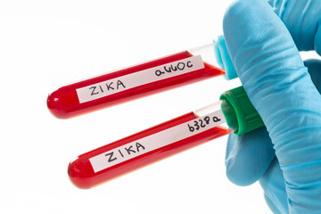 Fototapeta premium Virus Zika