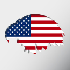 Eagle USA flag. United States of America. Vector illustration.