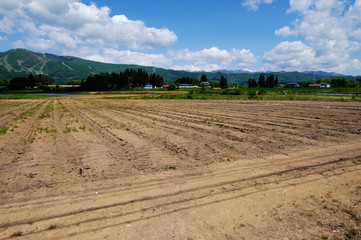 ひるがの高原の田園