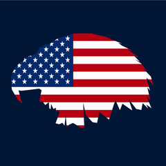 Eagle USA flag. United States of America. Vector illustration.