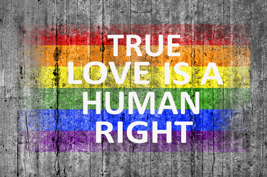 True love is a human right and LGBT flag painted on background t