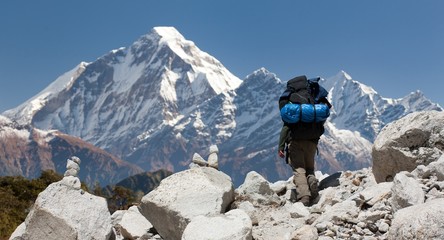 mount Dhaulagiri with tourist, great himalayan trail - obrazy, fototapety, plakaty