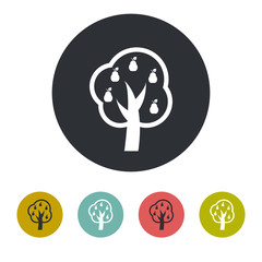 fruit-tree icon