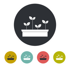 seedling icon