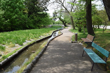 公園のベンチ／山形県庄内平野の公園で、ベンチを撮影した写真です。