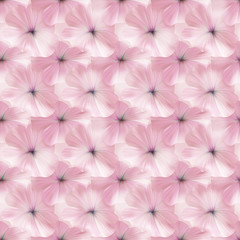 Pink Petunia seamless pattern for fabric or textile design.