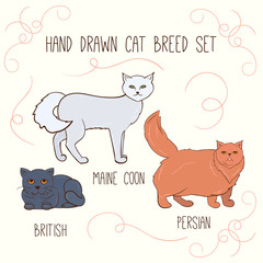 Cat breeds vector set. Hand drawn cats illustration.