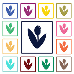 tulip icon