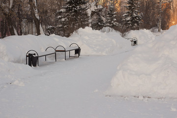 two benches in winter park