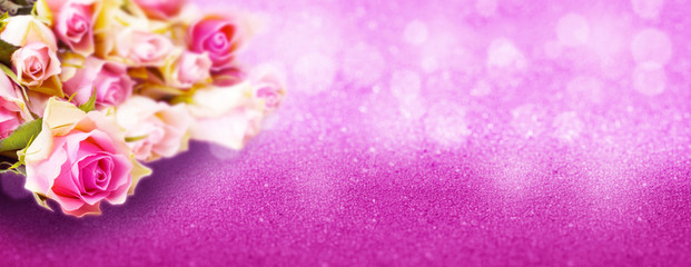 Pink roses on background with copy space, banner with bokeh