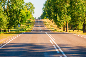 asphalted suburban road in a picturesque location