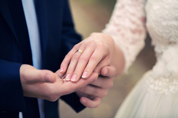 Obraz na płótnie Canvas groom holds the bride's hand
