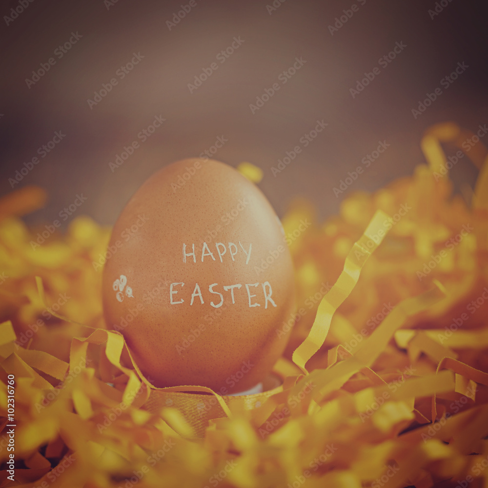 Wall mural  Easter Egg on Yellow background.. Concept Happy Easter.Toned im