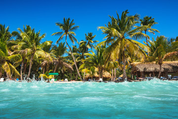 Plakat Caribbean wild beach