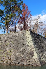 八代城　石垣とお堀