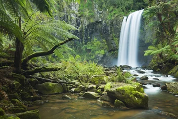 Zelfklevend Fotobehang Rainforest waterfalls, Hopetoun Falls, Great Otway NP, Australia © sara_winter