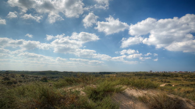 Dutch Dunes