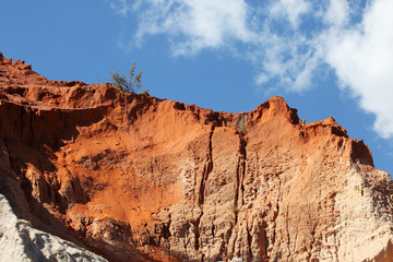 scenic of fairy stream,vietnam.