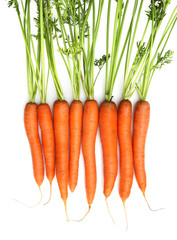 carrots isolated on white.