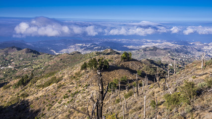 Fototapeta premium Kanarische Insel Gran Canaria von oben