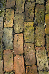 Bricks
