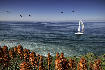 A single sailboat passes just off the surf line. Not a cloud in the sky on an 75 degree day in La Jolla Shores. La Jolla, California, USA.