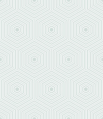 Geometric fine abstract vector hexagonal background. Seamless modern pattern. Light blue and white wallpaper
