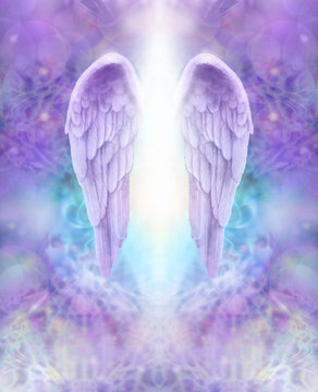Lilac Angel Wings - beautiful pair of lilac Angel wings with white light flowing down between, floating on an intricate lace like lilac and turquoise colored energy formation background